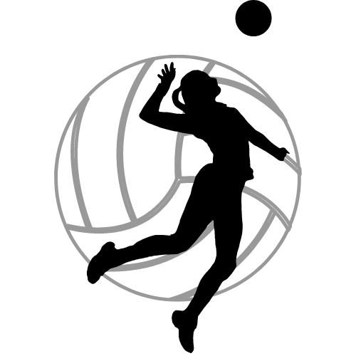 Sacramento Outdoor Volleyball